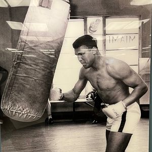 Meet your Posher, Donna